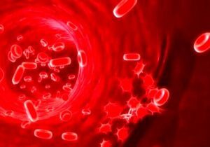 ۲۸ مورد پیوند خون بند ناف برای بیماران/جمع آوری بیش از ۲۶ هزار واحد خون بند ناف