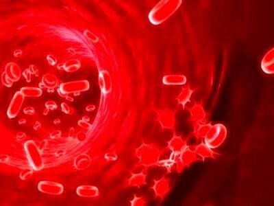 ۲۸ مورد پیوند خون بند ناف برای بیماران/جمع آوری بیش از ۲۶ هزار واحد خون بند ناف