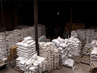 آمار کذب درباره میزان تولید برنج/ واردات برای تنظیم بازار انجام شد