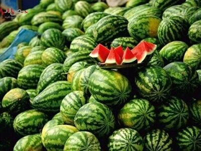 قیمت هندوانه و گوجه در آذرماه رکورد زدند