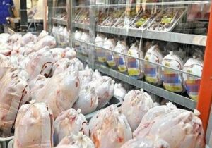 مشکل کمبود مرغ در بازار کردستان رفع شد| ثبات در قیمت مهمترین مطالبه مردم