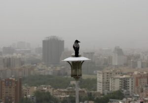 هوای ۱۱ شهر استان تهران آلوده شد