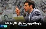 پای رائفی‌پور به بازار دلار باز شد