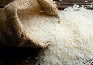 آمار واردات و تولید برنج به زودی واقعی می‌شود
