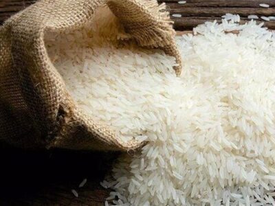 آمار واردات و تولید برنج به زودی واقعی می‌شود
