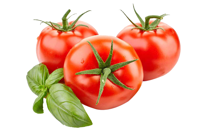 قیمت و خرید انواع بذر گوجه فرنگی 