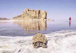 خبر خوش از دریاچه ارومیه |‌ بارش ها تاثیر گذار بود؟