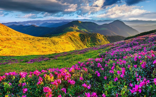 اکوتوریسم 