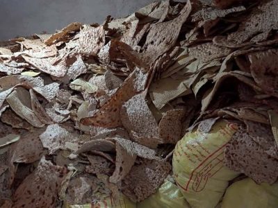 نان، ارز، بازار سیاه/ قیمت‌گذاری دستوری چگونه روزگار بازارها را سیاه کرد؟