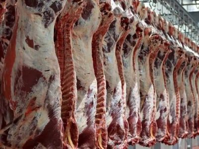 چرا گوشت گرم و تخم‌مرغ از لیست کالا‌های اساسی حذف شد؟