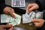 بانک مرکزی باید ارز را تک نرخی کند/ پیش فروش ارز باید آزادانه و به قیمت روز باشد