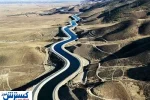 زیاده‌خواهی تهرانی‌ها قربانی داد !