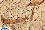 کشور در آستانه فاجعه‌ای بزرگ | منتظر بزرگترین تهدید ملی باشید