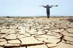 سقوط ۴۰ درصدی اشتغال در بخش کشاورزی/ نیمی از مشاغل ایران، خدماتی است