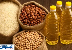 اظهار نظر رسمی اتاق اصناف به گرانی برنج | با فروشنده نمی توان برخورد کرد!