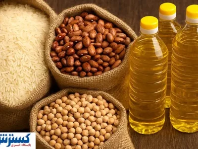 اظهار نظر رسمی اتاق اصناف به گرانی برنج | با فروشنده نمی توان برخورد کرد!