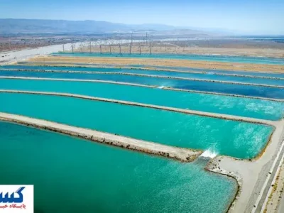 شوک خبری؛ آب ایران در هندوانه‌ها به کشورهای عربی صادر می‌شود