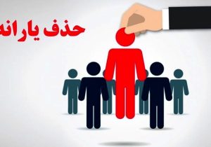 میدری: فرایند حذف یارانه پیچیده است