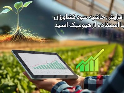 اسید هیومیک و بازگشت سرمایه: چگونه هزینه نهاده را نصف کنیم؟