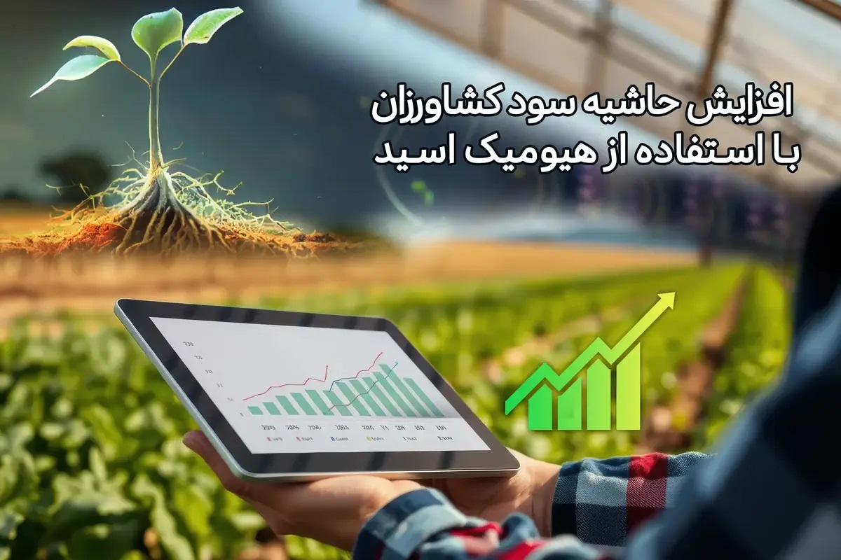 اسید هیومیک و بازگشت سرمایه: چگونه هزینه نهاده را نصف کنیم؟