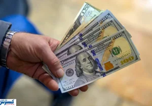 بازار ارز با اصلاح نرخ سامان می گیرد