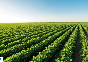 هزینه‌ های سرسام‌ آور انرژی نفس کشاورزان را برید