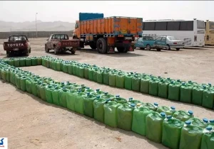 ثروت هنگفتی به کشور برگشت داده شد