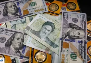 سرمایه‌ گذاری ریالی یا دلاری؟ | هشدار جدی درباره سودهای ظاهری اعلام شد