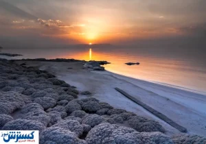 شرط احیای جِگرگوشه ایران اعلام شد؛ آخرین فرصت برای نجات