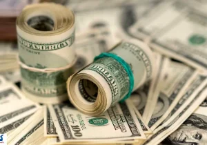 شکاف ۱۲ هزار تومانی دلار؛ بانک مرکزی شایعه‌سازان را زمین‌گیر کرد