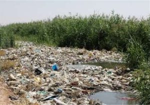 آبیاری گندم و جو با فاضلاب/تقابل اراده مسئولان و منافع مالی سودجویان