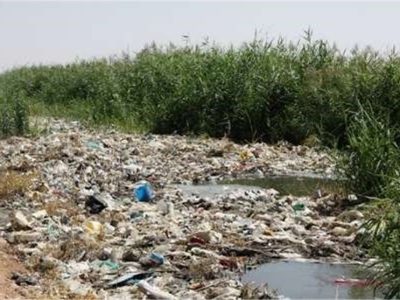 آبیاری گندم و جو با فاضلاب/تقابل اراده مسئولان و منافع مالی سودجویان