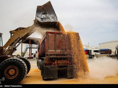 آغاز توزیع نهادههای دامی تحت کلید دولت/ امضای طلایی برنگردد