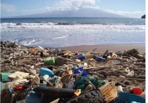 ابتکار جدید فائو برای مدیریت پسماندهای پلاستیکی دریایی