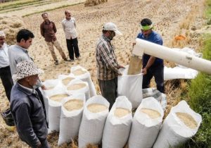 اندازه بازار جهانی ماشین آلات آسیاب برنج تا ۲۰۳۰ | ماشین آلات دست دوم؛ مانع گسترش بازار