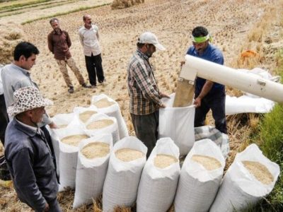 اندازه بازار جهانی ماشین آلات آسیاب برنج تا ۲۰۳۰ | ماشین آلات دست دوم؛ مانع گسترش بازار