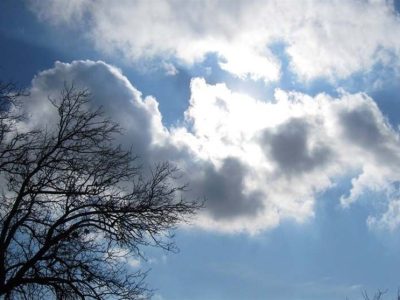 باران رحمت الهی، غبار آلودگی را شست؛ بازگشت طراوت به آسمان شهر