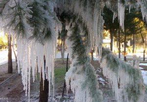 بارش برف و باران در ۱۴ استان؛ یخبندان در راه است