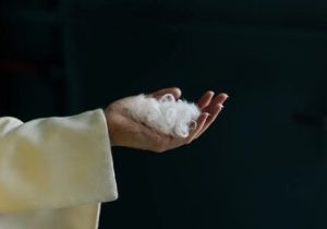 تبدیل پر مرغ به پارچه نفیس کشمیر