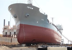 تخصیص ۳۰۰ میلیارد تومان پرداخت تسهیلات به صنایع دریایی استان بوشهر+فیلم