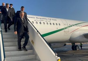 حاشیه‌‌ نگاری خبرنگار تسنیم از سفر پزشکیان به بیرجند/از عدم دعوت رسانه‌ها تا آلرژی رئیس جمهور به گل نرگس