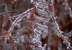 دمای تهران امشب به منفی ۲ درجه خواهد رسید