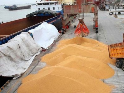 ذخیره ۴ میلیون تن گندم به عنوان ذخایر استراتژیک