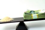 راهحل کنترل قیمت برنج صرفاً تخصیص یا حذف ارز ترجیحی نیست