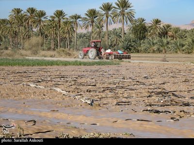 «سیلاب» سرمایه کشاورزان فاریاب را بلعید؛ هشدار درباره موج جدید بارندگی