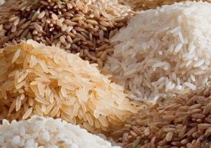 شمال ایران در محاصره برنجهای خارجی/ وقتی قیمت برنج داخلی قربانی سیاستهای دولت شد!