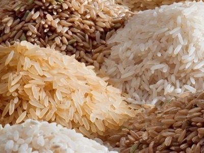 شمال ایران در محاصره برنج‌های خارجی‌/ وقتی قیمت برنج داخلی قربانی سیاست‌های دولت شد!