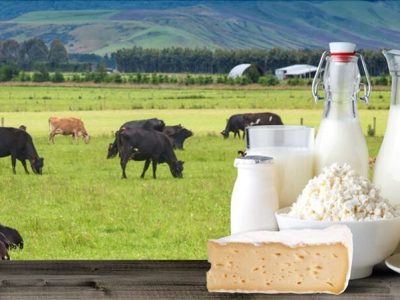 لبنیات بازهم گران شد