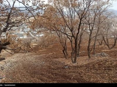 مسئولان درگیر تناقضات مرزی؛ کوهستان بلهزار قربانی شد+تصاویر