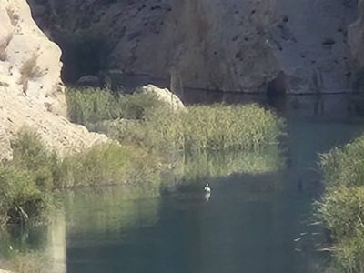 «نجات آب» ــ ۴۹ | توسعه دانش بومی حفاظت از رواناب در اقوام ایرانی